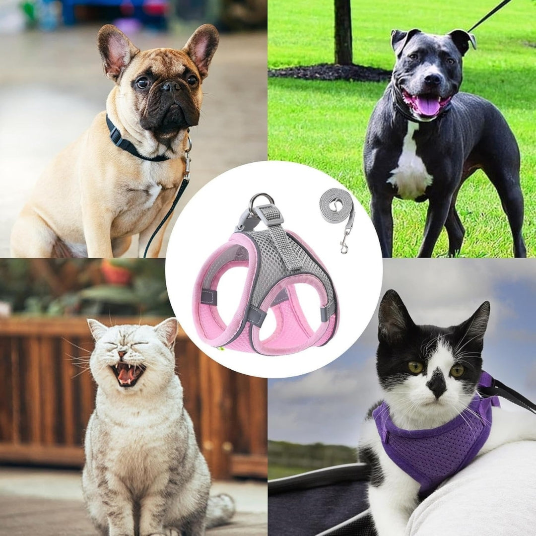 Dierenhome ™ Kattenharnas + gratis riem