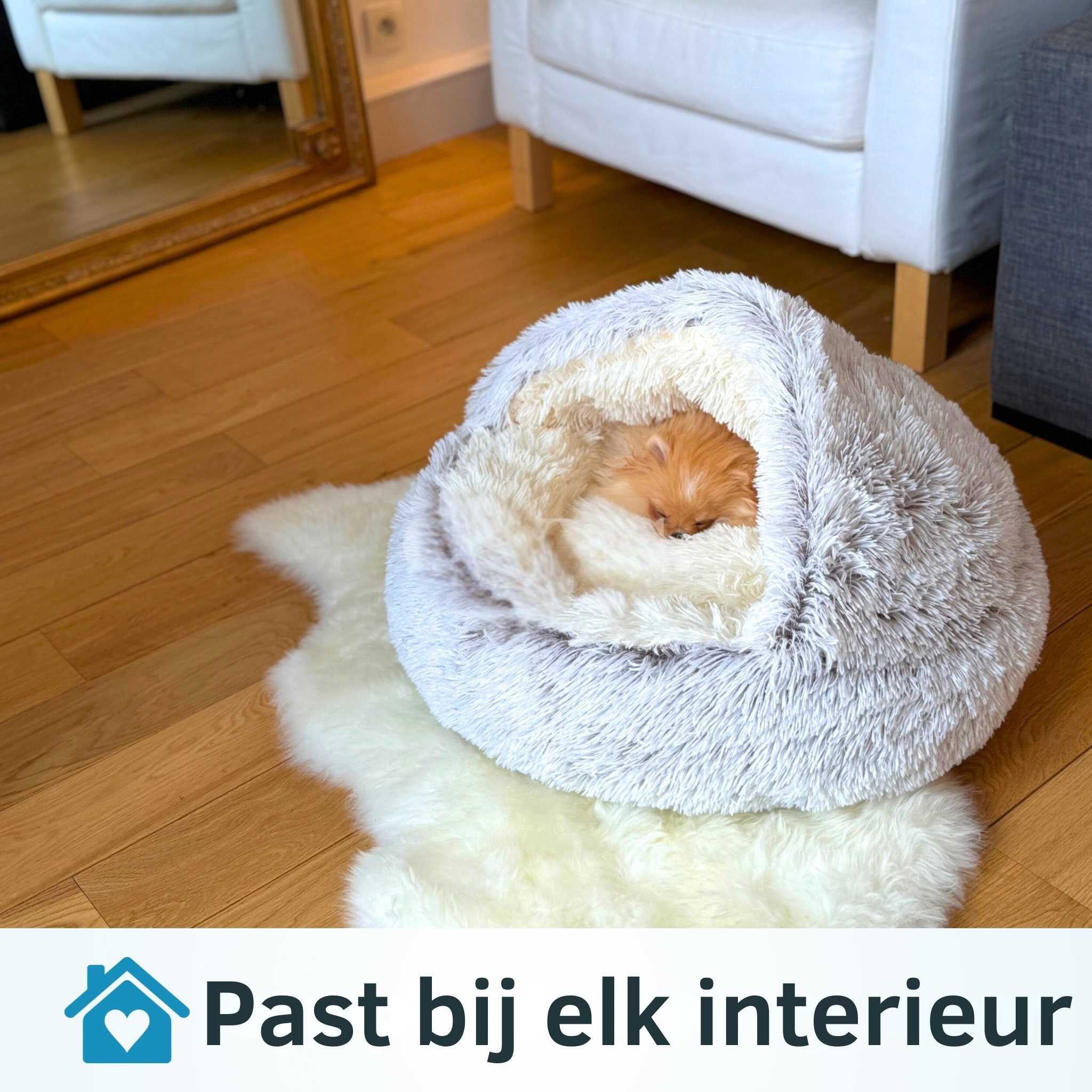 CozyPet™ | De Ultieme Rustplek voor Jouw Hond