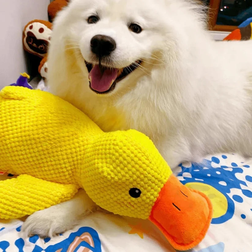 QuackBuddy™ | Kalmerende Eendenknuffel voor Honden