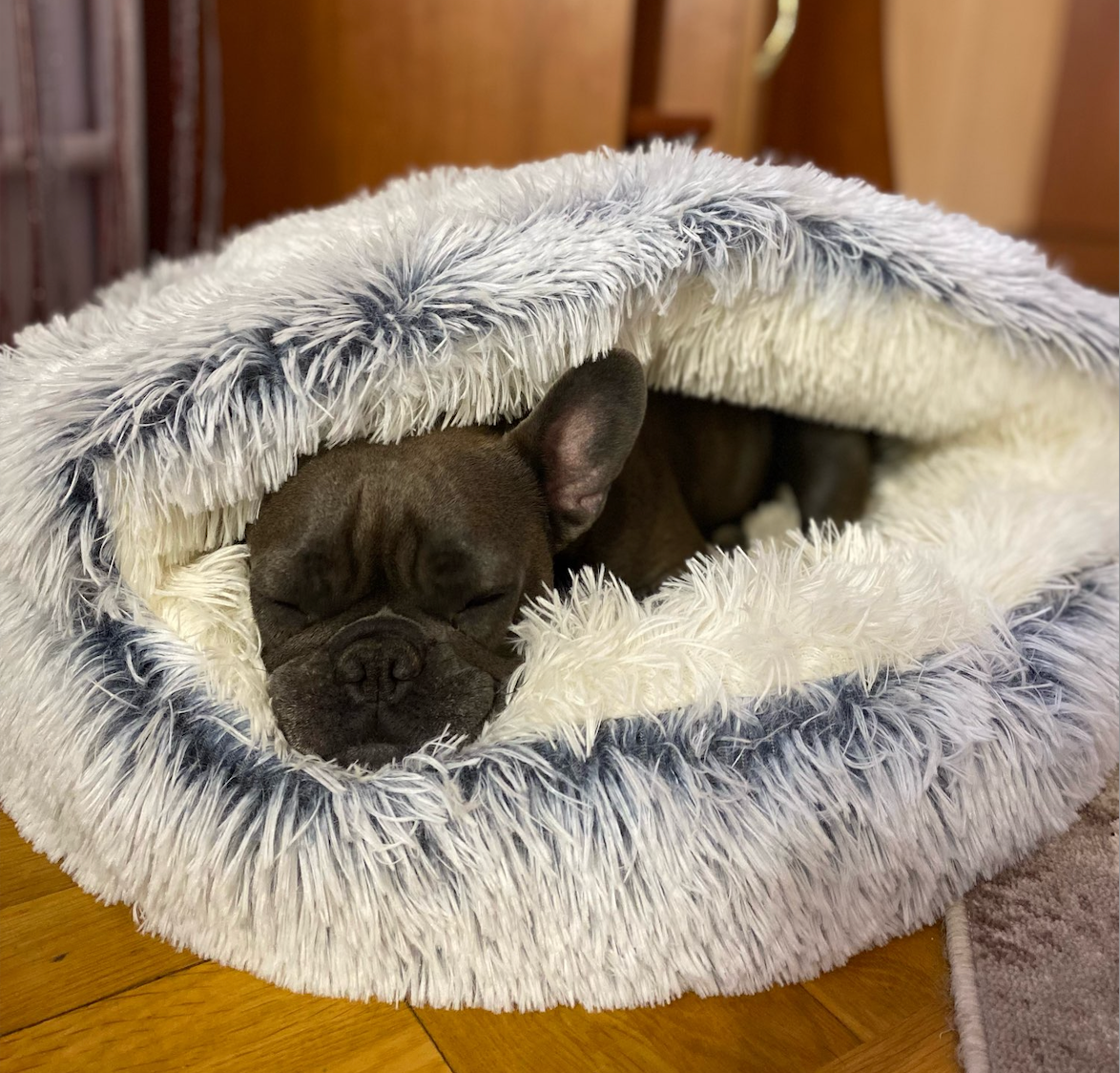 CozyPet™ | De Ultieme Rustplek voor Jouw Hond