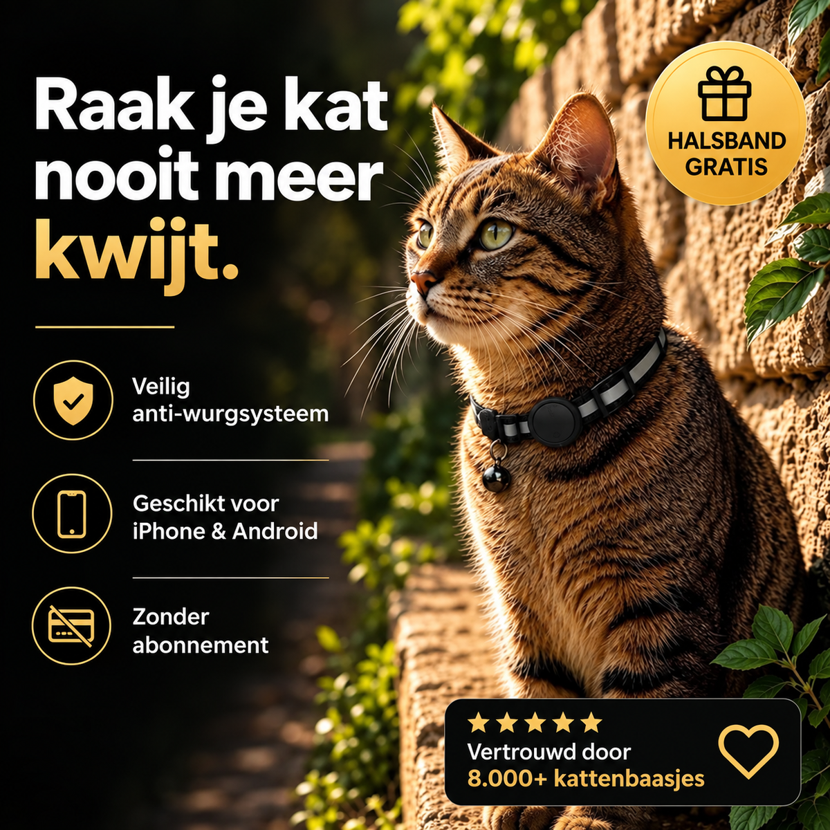 Félis - Intelligente halsband voor kat