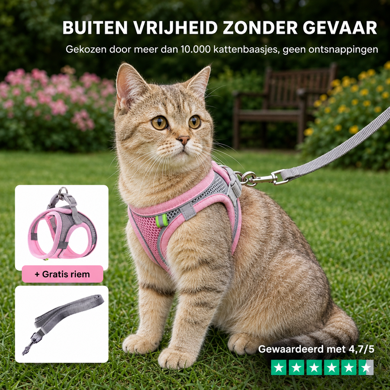 Dierenhome ™ Kattenharnas + gratis riem