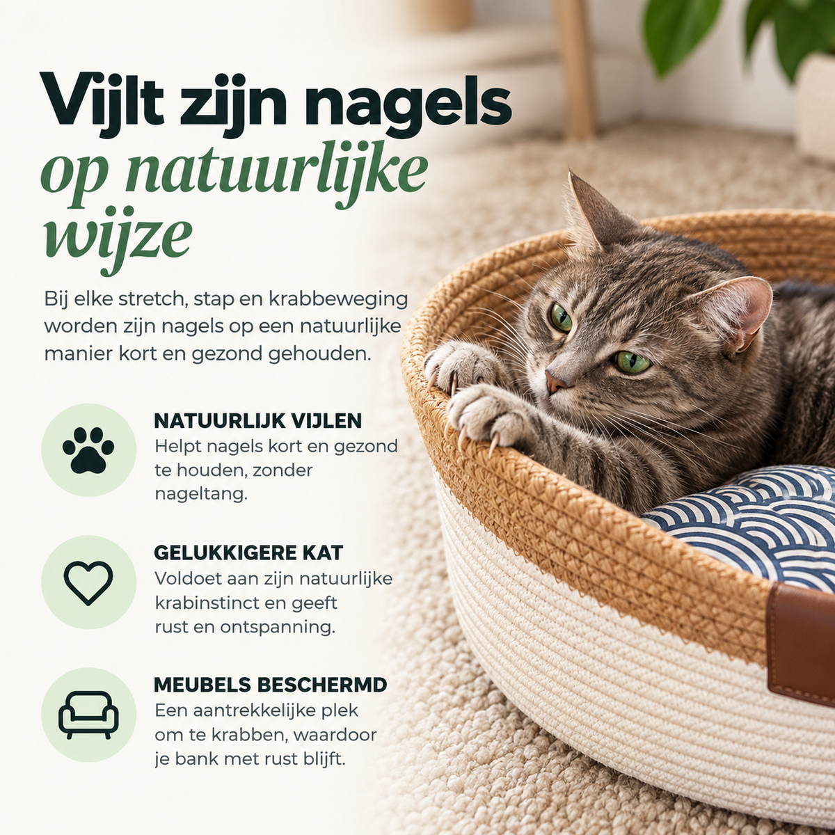 KattenNest™ – Natuurlijke Gevlochten Kattenmand