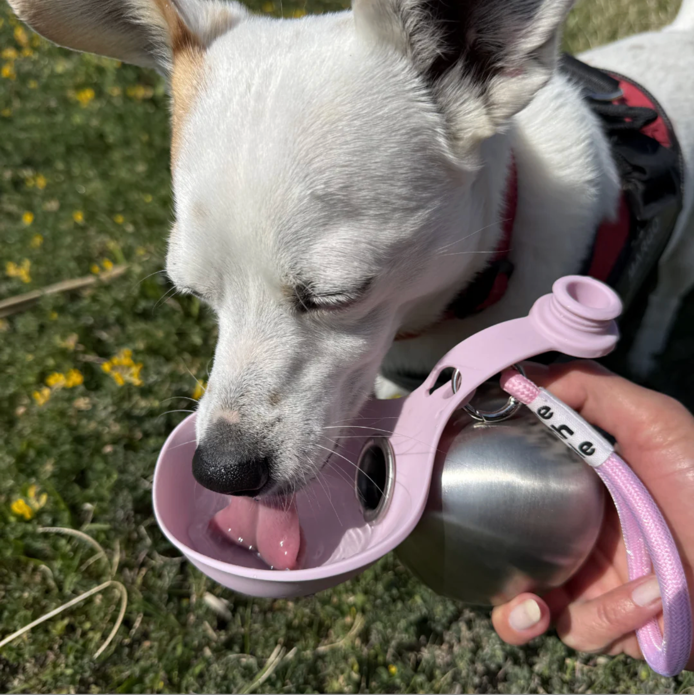 HydroPup™ | Draagbare Drinkfles voor Honden