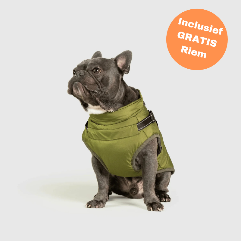 FluffyFit groene hondenjas