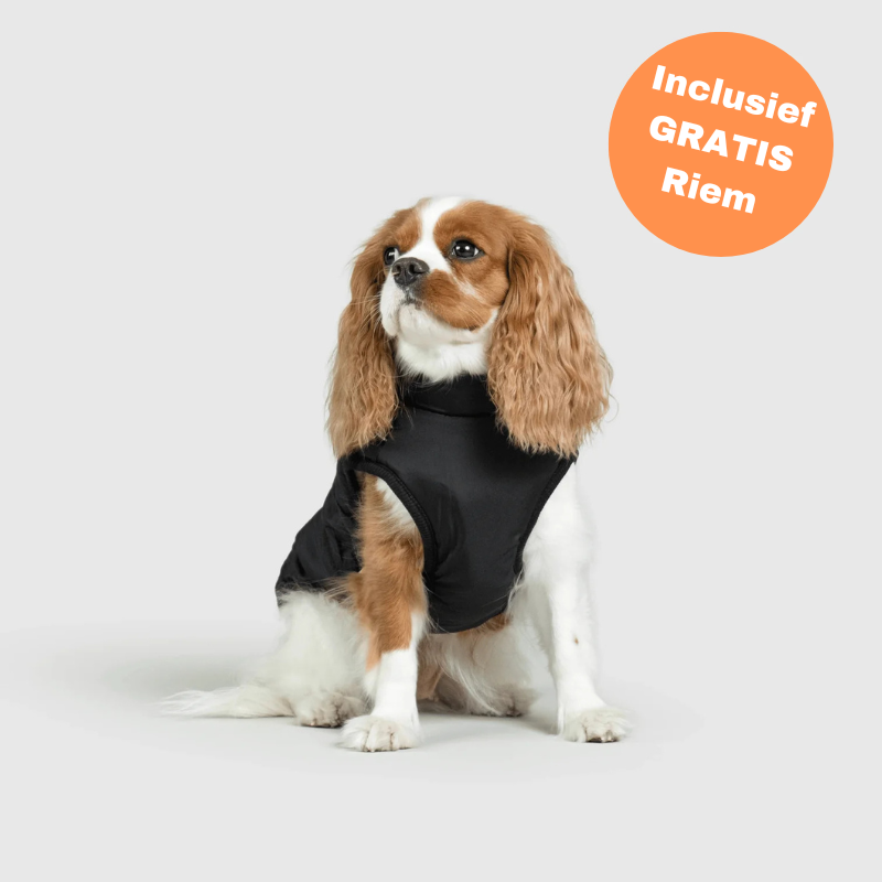 FluffyFit zwarte hondenjas