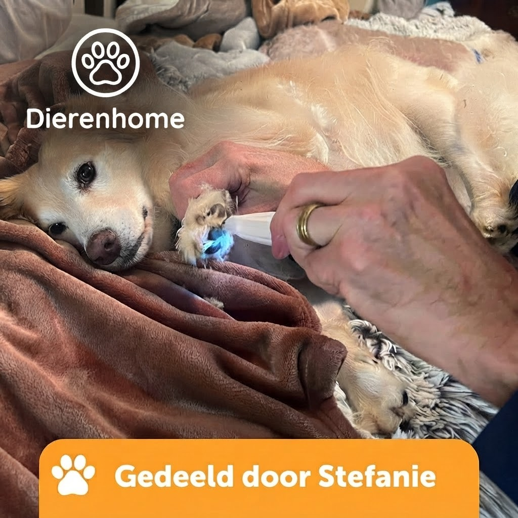 PawTrim Pro™ - pijnloze pootverzorging in seconden