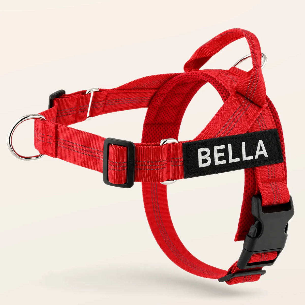 Sky Blue SafeWalk No-Pull 2.0 harness with MAX name patch on a warm ivory background