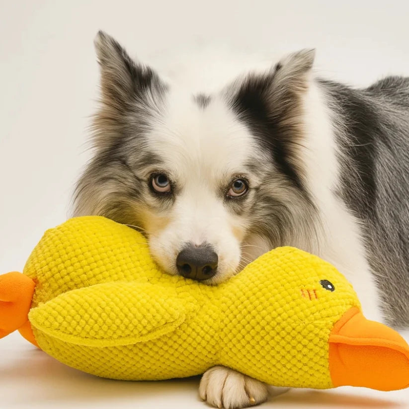 QuackBuddy™ | Kalmerende Eendenknuffel voor Honden