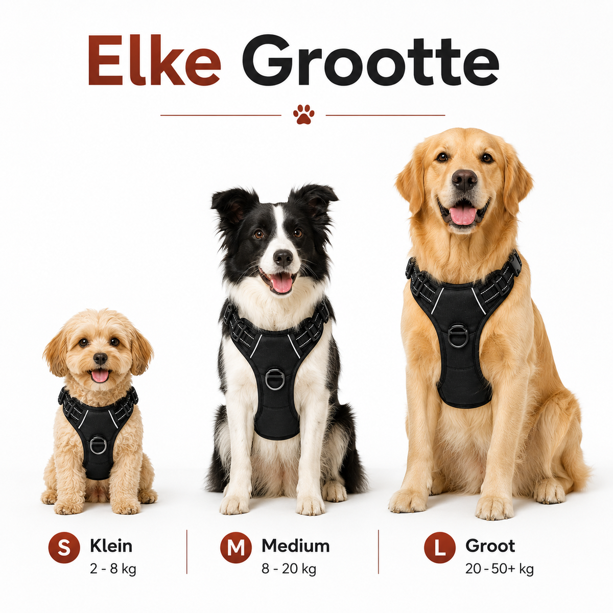 SafeRide™ | Autoharnas voor Honden