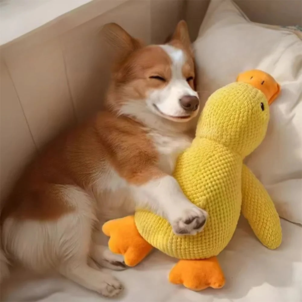 QuackBuddy™ | Kalmerende Eendenknuffel voor Honden