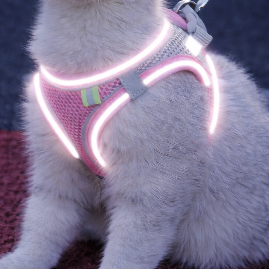 Dierenhome ™ Kattenharnas + gratis riem