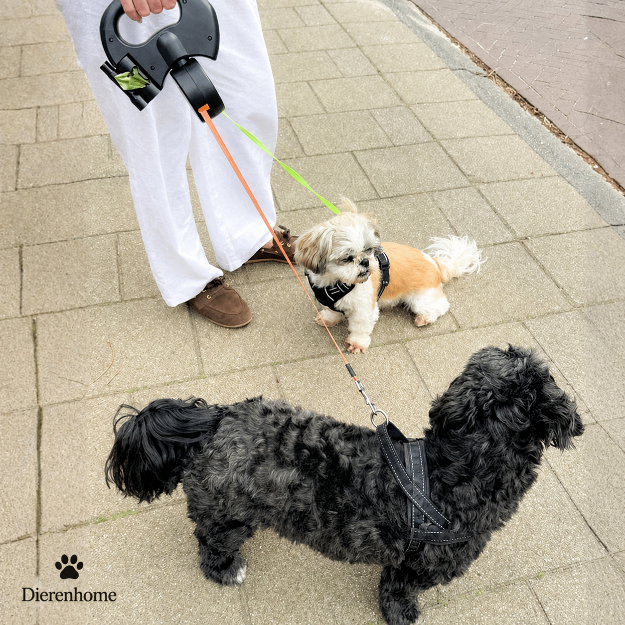 DuoWalk™  Wandel met twee honden vanuit één hand.