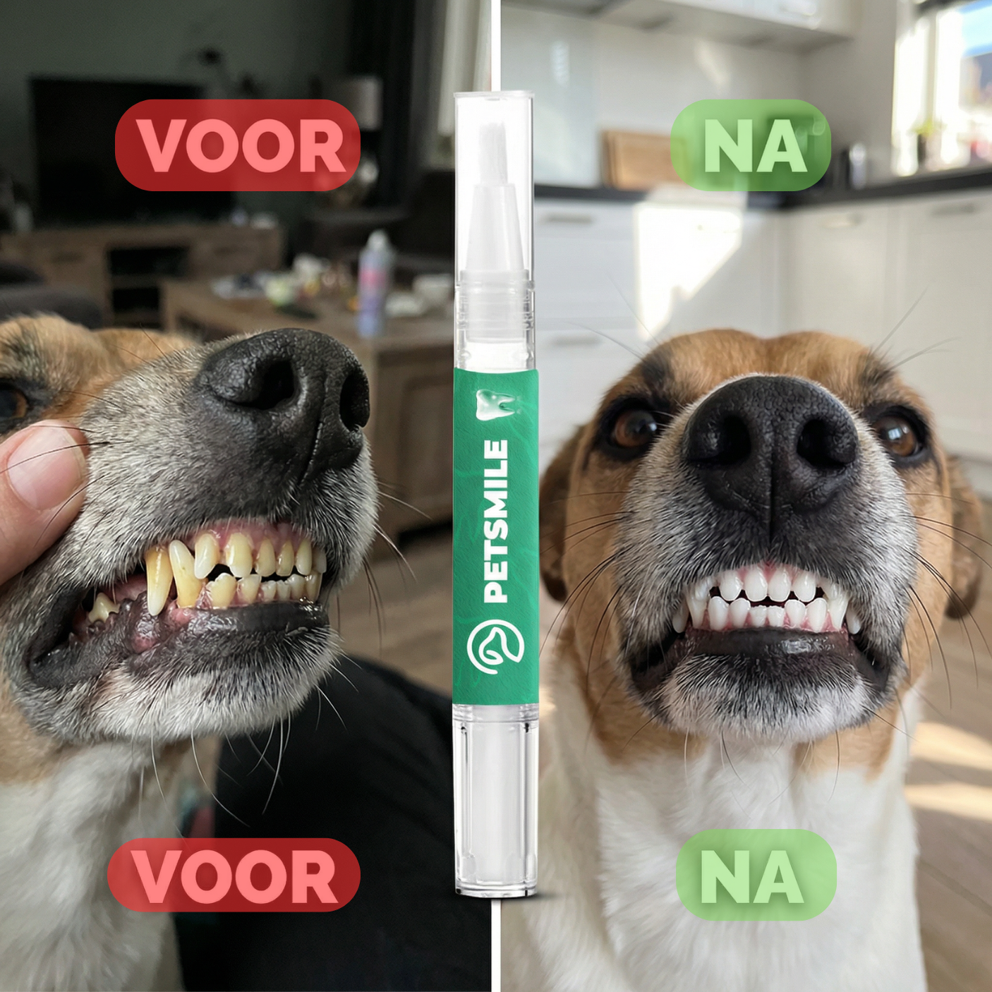 PetSmile™ | Zeg vaarwel tegen tandplak en een stinkende adem!