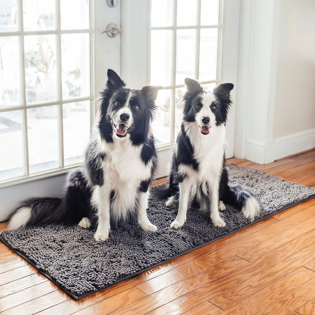 PawMat™ | Antislip Voermat voor Huisdieren