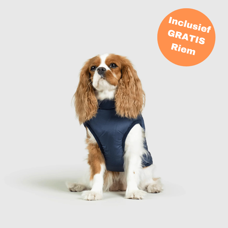 FluffyFit blauwe hondenjas