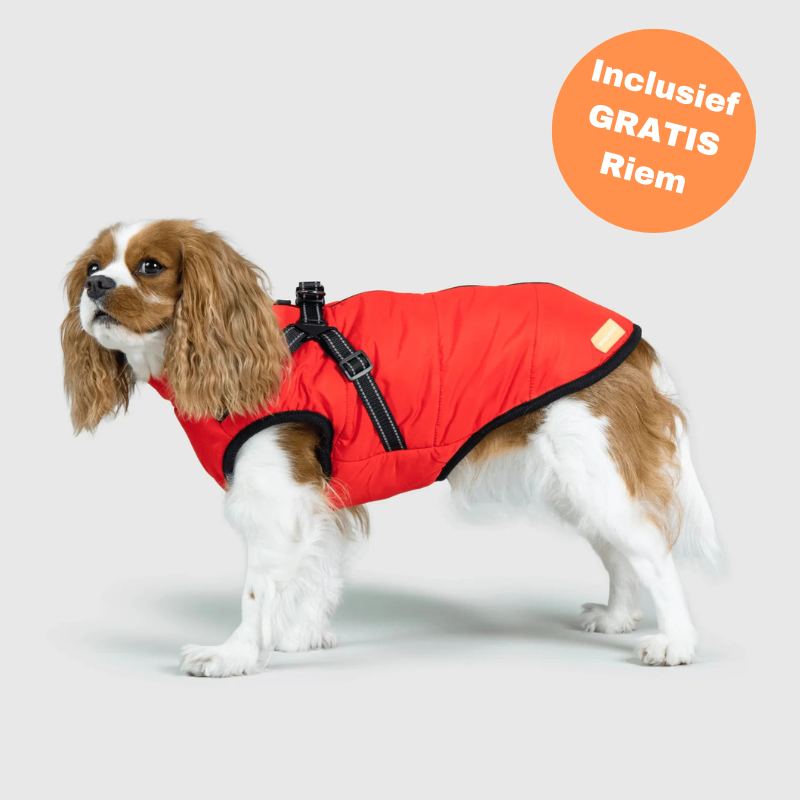 FluffyFit rode hondenjas