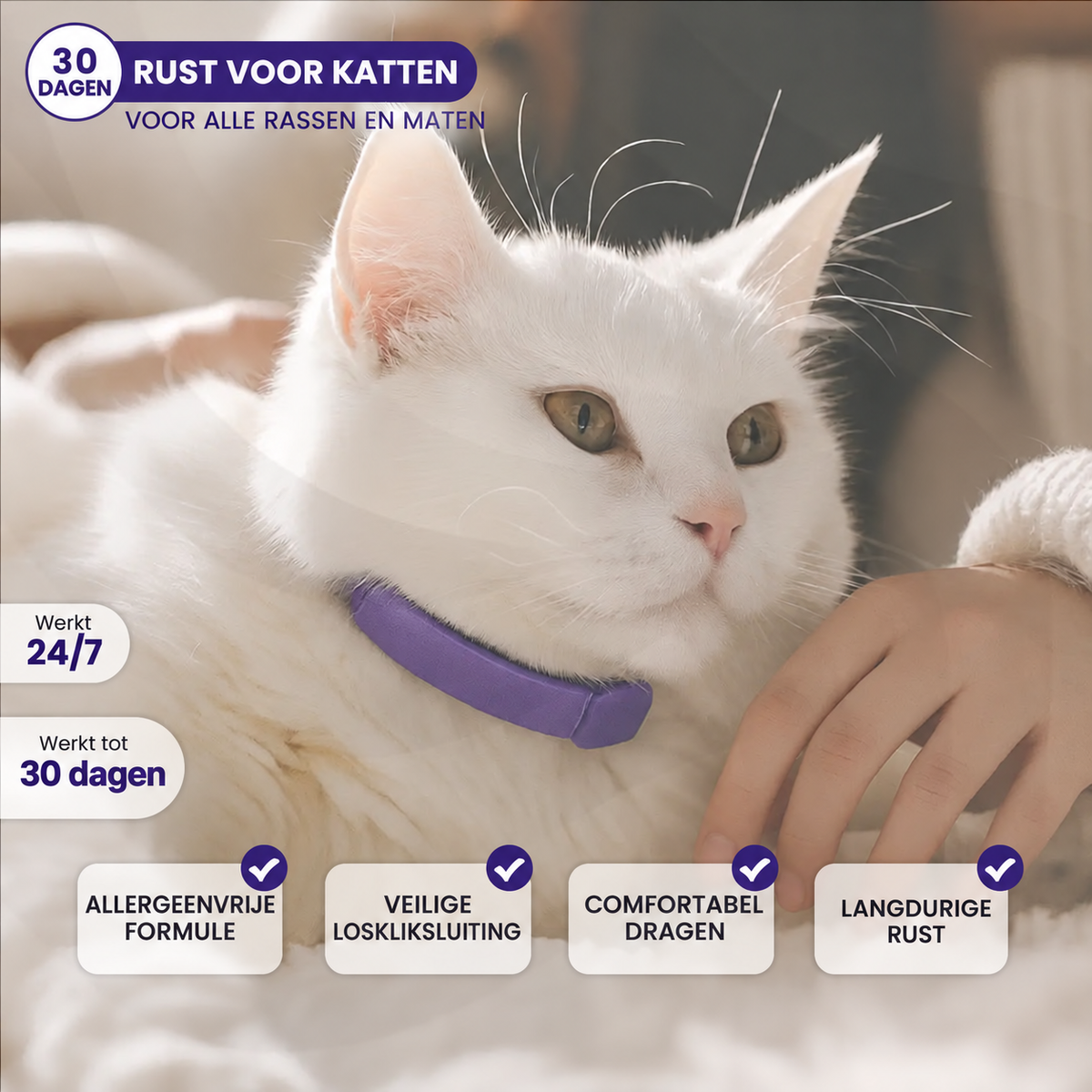 Gentle Paws 30 dagen rust voor katten