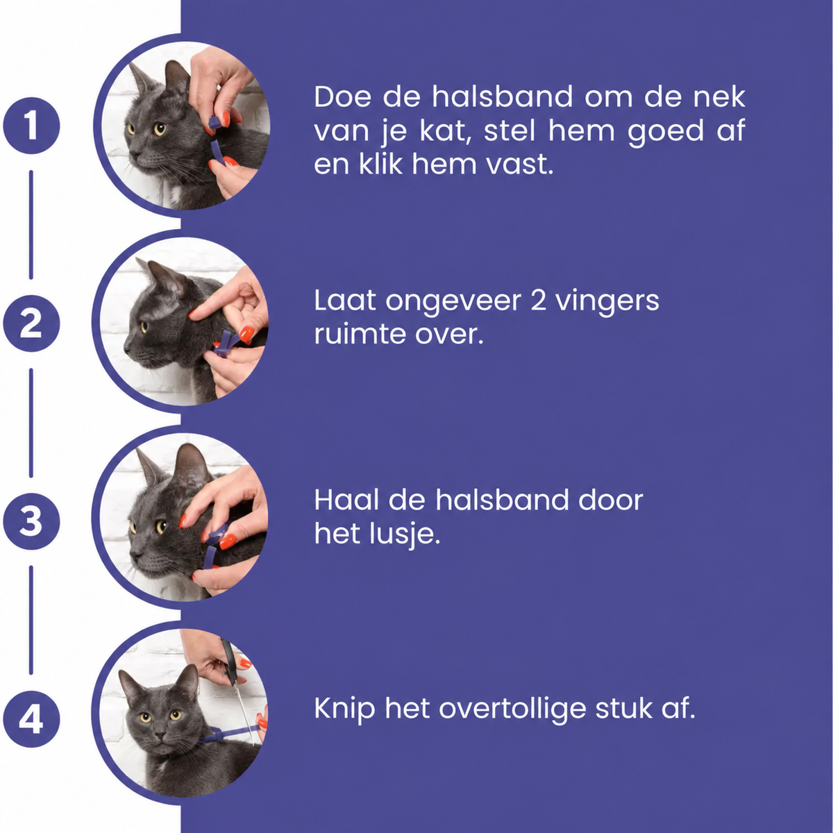 Gentle Paws gebruiksaanwijzing in vier stappen