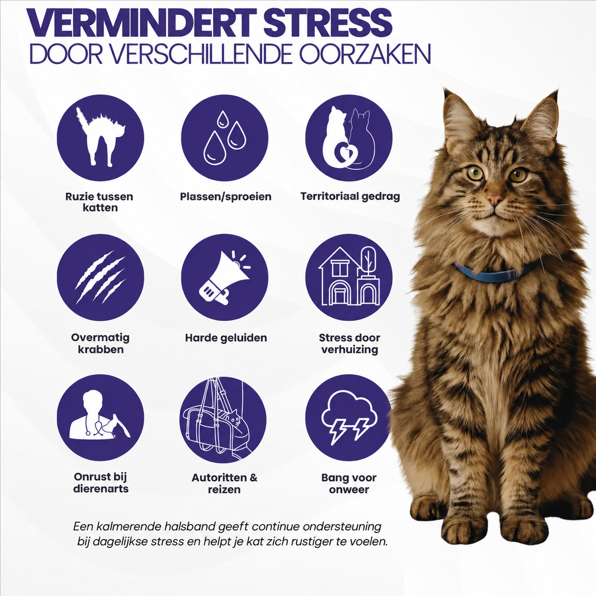 Gentle Paws vermindert stress door verschillende oorzaken