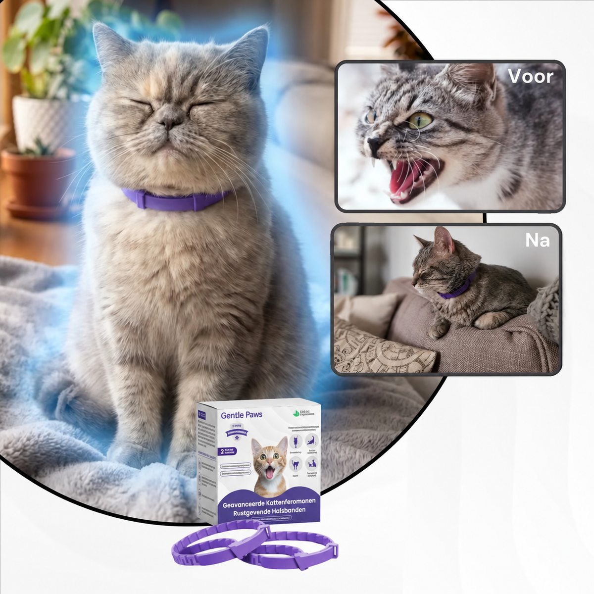 Gentle Paws voor en na rustiger gedrag
