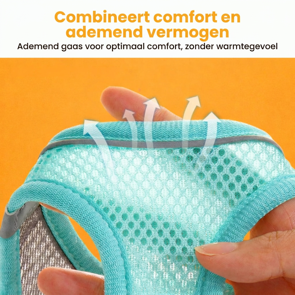Dierenhome ™ Kattenharnas + gratis riem