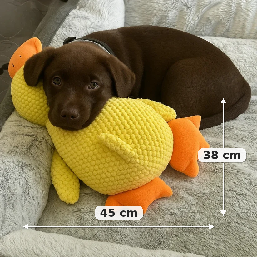 QuackBuddy™ | Kalmerende Eendenknuffel voor Honden
