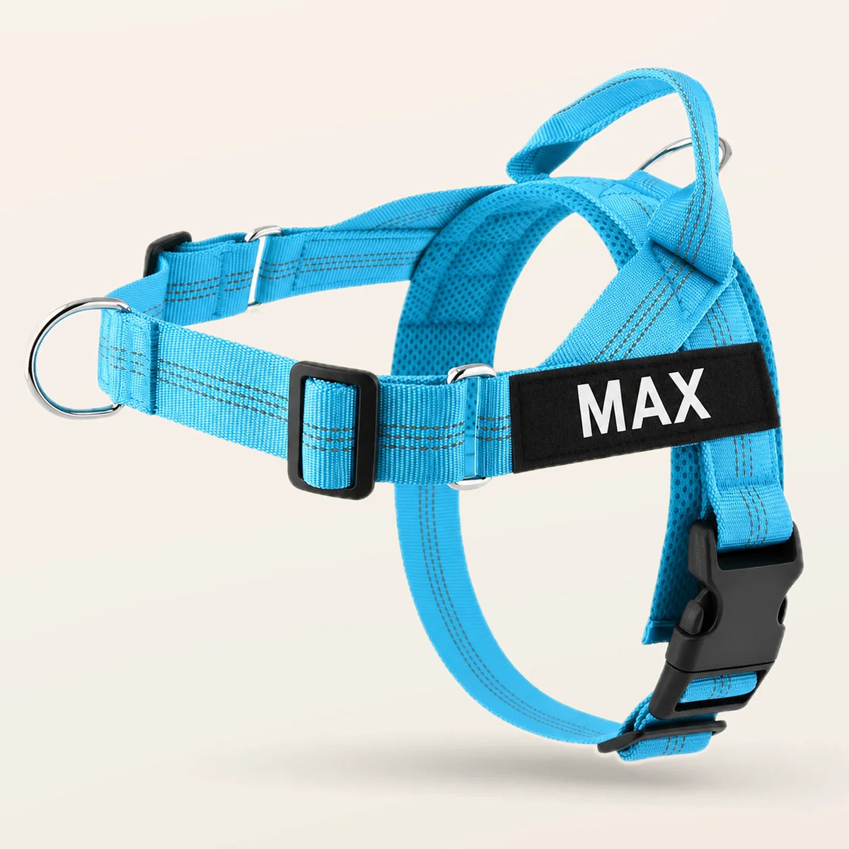Gray SafeWalk No-Pull 2.0 harness with CHARLIE name patch on a warm ivory background